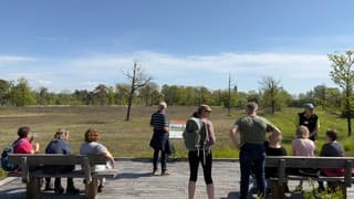 Stelkampsveld Borculo in de zon