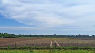 droog land snakt naar water