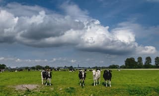 Wel dreiging maar geen regen.