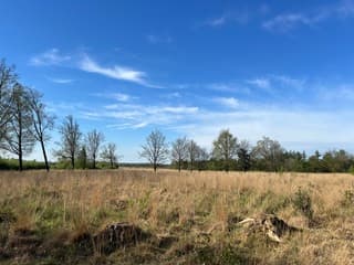 De ochtend begon zonnig…