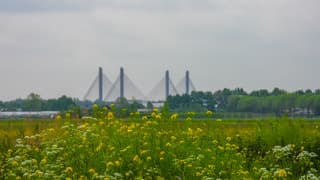Raapzaad en wolken bij de brug