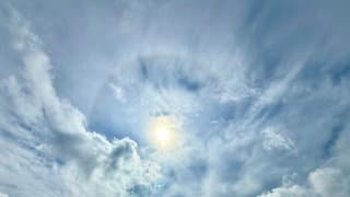 Blauw Halo