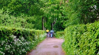 Regen en wandelaars in een groene wereld 