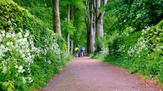 Regen, wandelaars en de prachtige groene natuur in Utrecht 