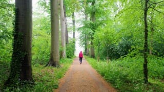 Regen en wandelen in een schitterend groen landschap in het voorjaar bij Utrecht 