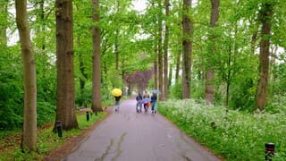 Wandelaars in de regen en een prachtig groen voorjaarslandschap
