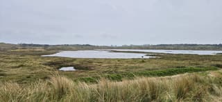 Regenachtige Grafelijkheidsduinen