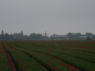 Bewolkt