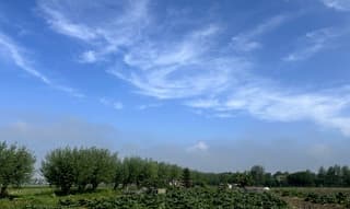 Sluierwolken.