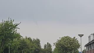 Nog video