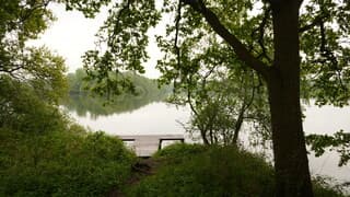 Leemputten