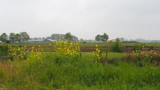 HEIIG