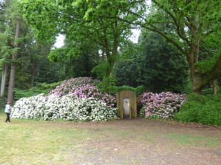 5 mei Bevrijdingsdag!  De drukte ontlopen? Ga de natuur in. Nu genieten!