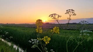 Bevrijdingsdag begint mooi op Texel 