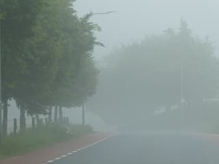 stevige mist