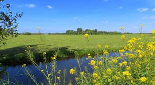 prachtig weer