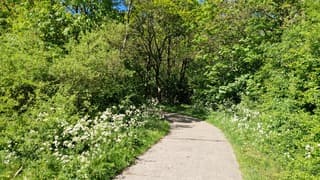 Lente!