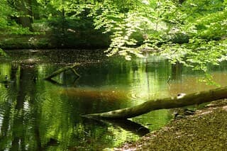 Zon op het water