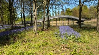 lente