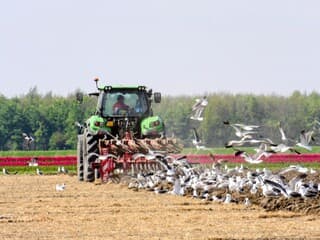 Natuur 