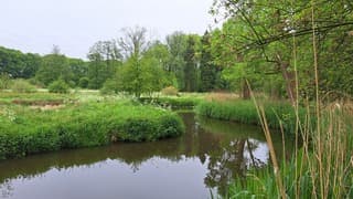 Groen 4