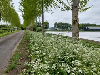 op de dijk
