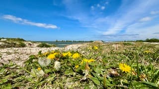 IJsselmeer 