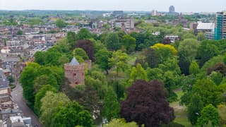 Wit grijze lucht bij Kronenburgpark