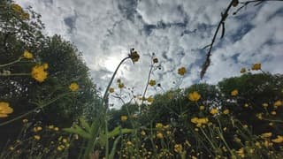 Sluierbewolking 