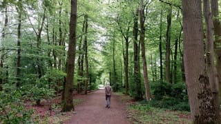 Alles weer fris groen 