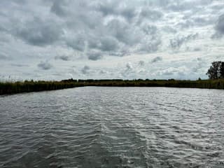Bewolking