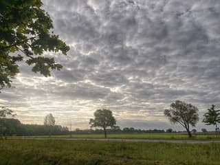 De zon wil wel 
