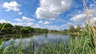 Mix van zon, stapelwolken en blauwe lucht