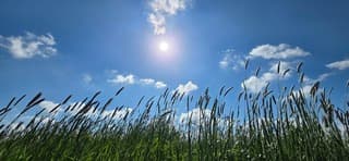 Zon en een blauw bewolkte lucht boven de provincie Groningen 