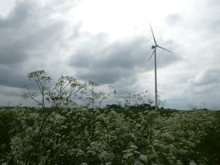 bewolking