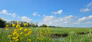 Blauw bewolkte lucht en zon boven de provincie Groningen 