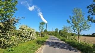 Witte pluim van de grasdrogerij; de lucht is strakblauw