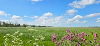 Blauw bewolkte lucht en zon boven de provincie Groningen 