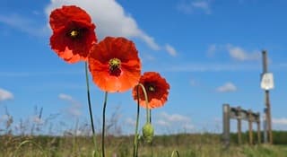 Natuur 