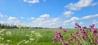 Blauw bewolkte lucht en zon boven de provincie Groningen 