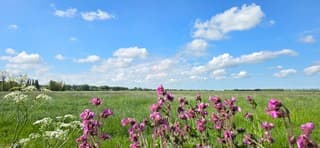 Blauw bewolkte lucht en zon boven de provincie Groningen 