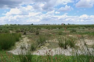 Extreme droogte 