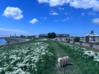 Genieten 