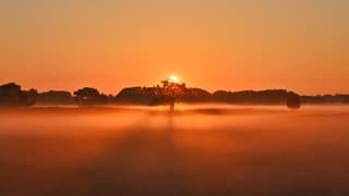 Zonsopkomst