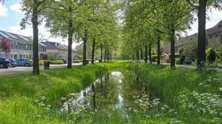 Groeizaam weer