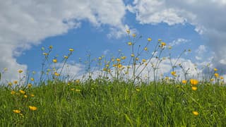 Steeds meer wolken