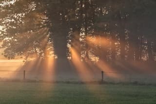 Zonnestralen bij zonsopkomst 
