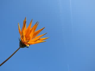 Strak blauw! Top lenteweer vanmorgen! 