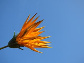Strak blauw! Top lenteweer vanmorgen! 
