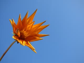 Strak blauw! Top lenteweer vanmorgen! 